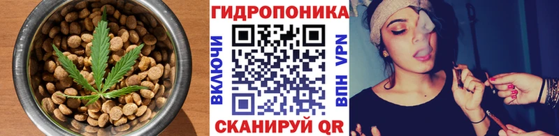 что такое hydra сайт Печенье с ТГК марихуана Сурск