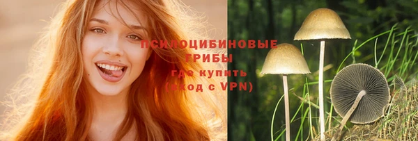 дживик Абинск